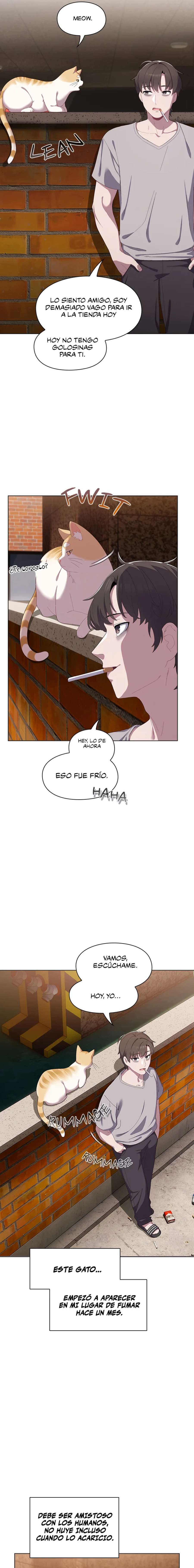 Maullidos de amor Capítulo 1 - Página 10