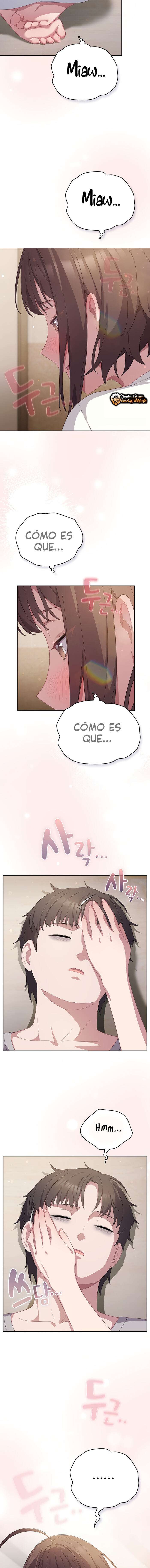 Maullidos de amor Capítulo 13 - Página 5