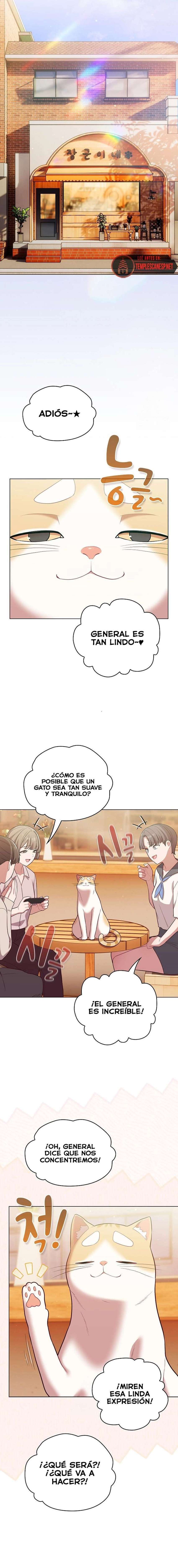 Maullidos de amor Capítulo 53 - Página 15