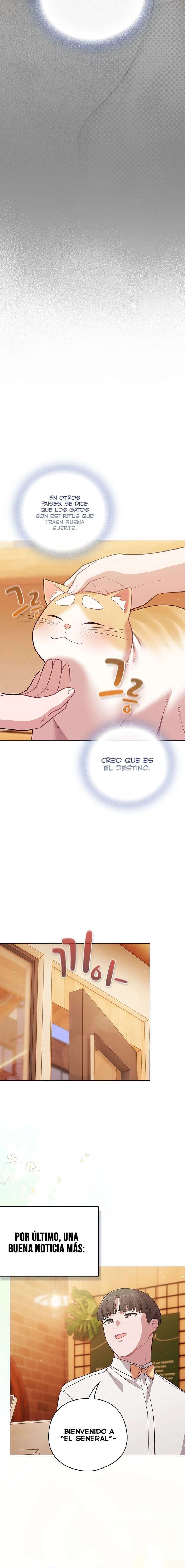 Maullidos de amor Capítulo 53 - Página 21