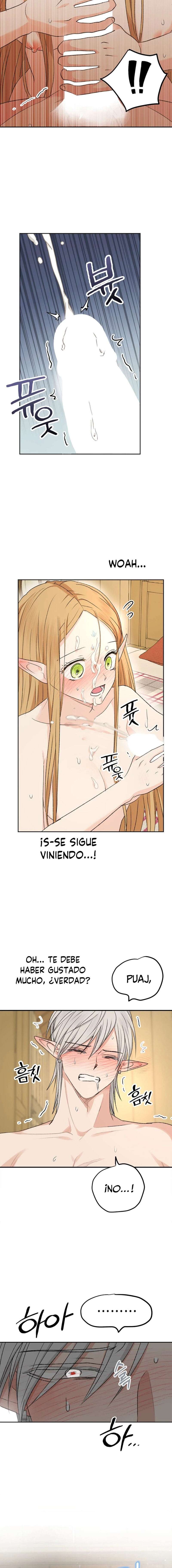 Apareamiento De Elfos Capítulo 13 - Página 17