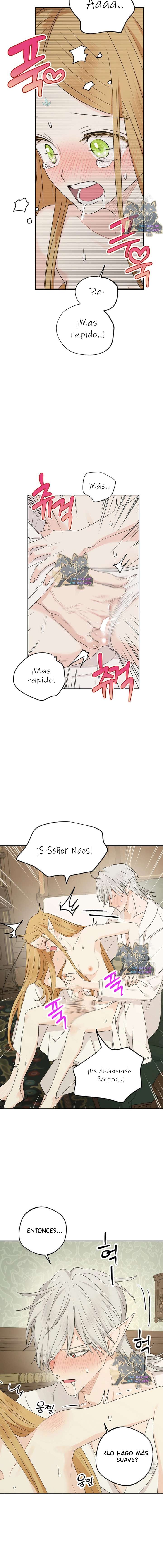 Apareamiento De Elfos Capítulo 35 - Página 16