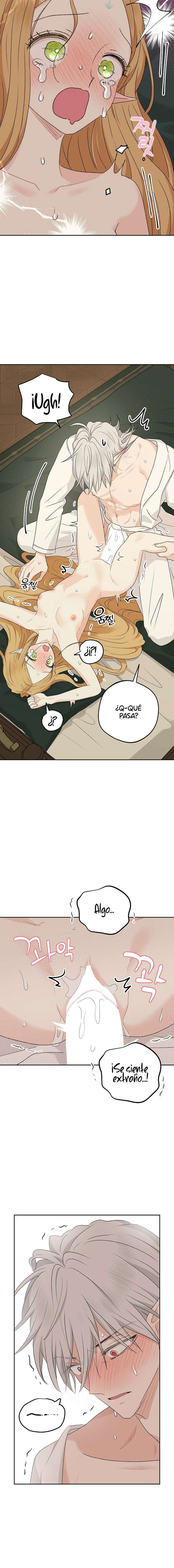 Apareamiento De Elfos Capítulo 37 - Página 11