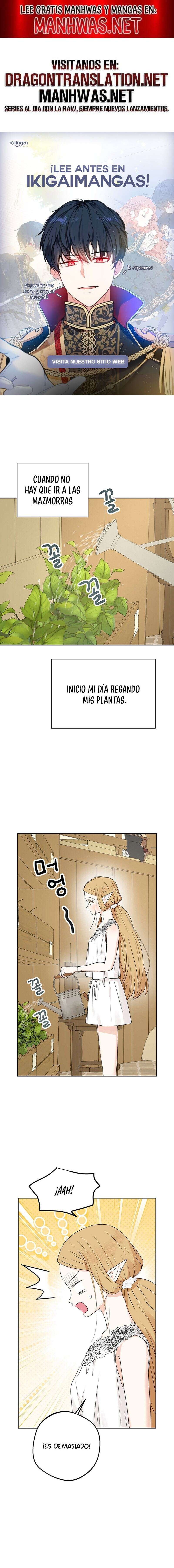 Apareamiento De Elfos Capítulo 39 - Página 1