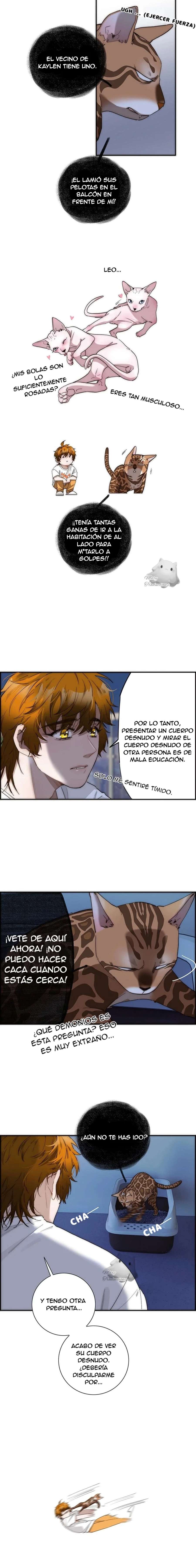 La venganza de Kaylen y la redención del zorro Capítulo 19 - Página 4