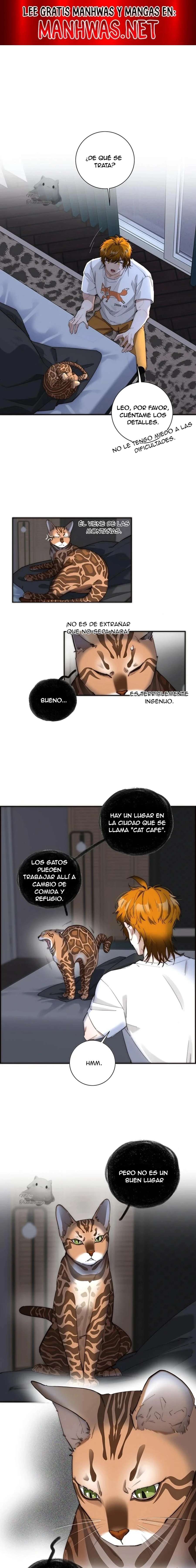La venganza de Kaylen y la redención del zorro Capítulo 20 - Página 1