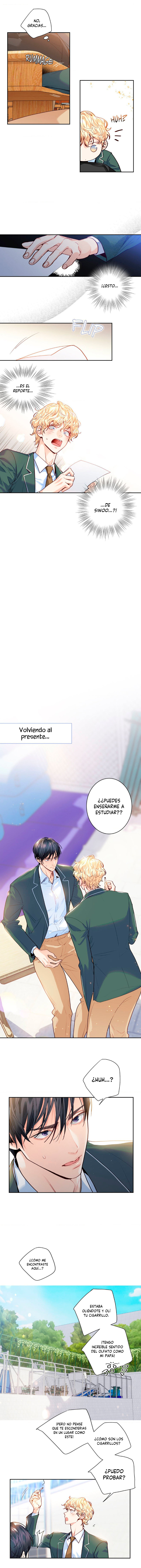 ¡El amor es una ilusión! – Superestrella Capítulo 11 - Página 5