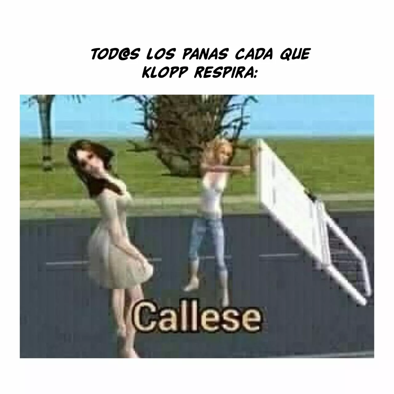 Jardín de Rosas Capítulo 12 - Página 21